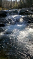 Whirlpool Falls